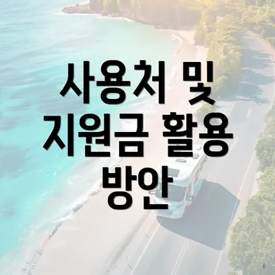 사용처 및 지원금 활용 방안