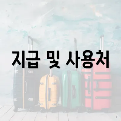 지급 및 사용처