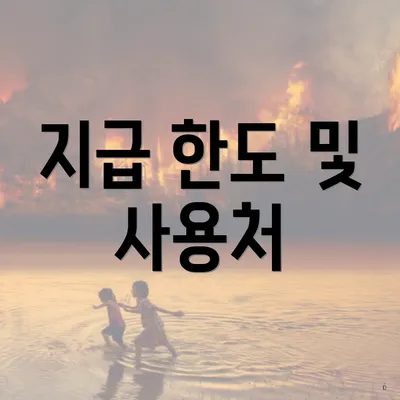 지급 한도 및 사용처