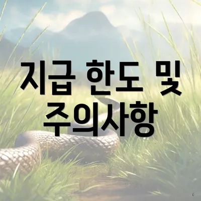 지급 한도 및 주의사항