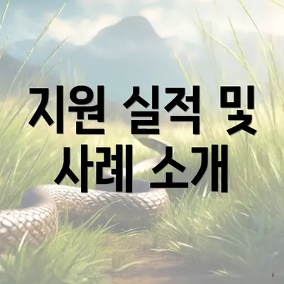 지원 실적 및 사례 소개