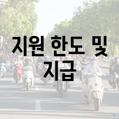 지원 한도 및 지급
