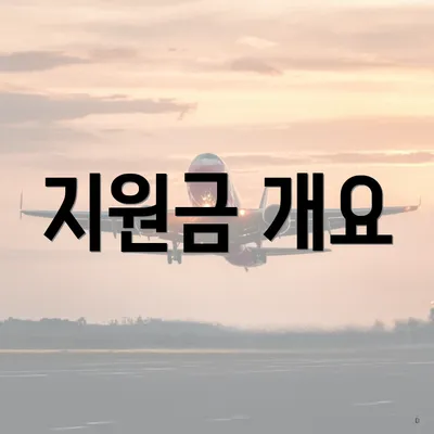 지원금 개요