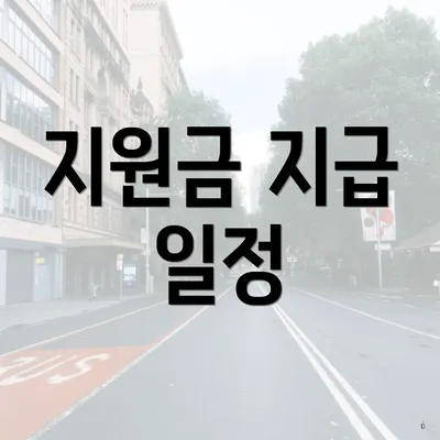 지원금 지급 일정