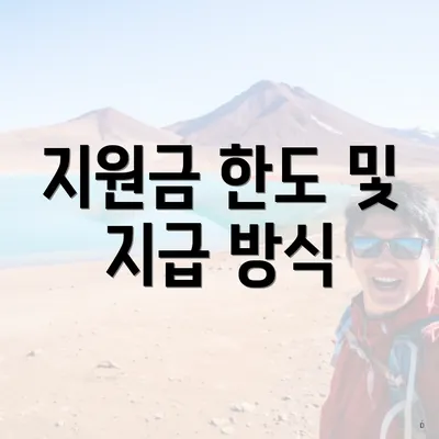 지원금 한도 및 지급 방식
