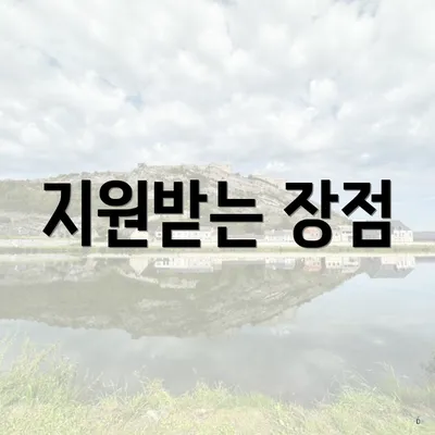 지원받는 장점