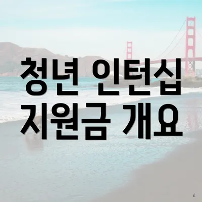 청년 인턴십 지원금 개요