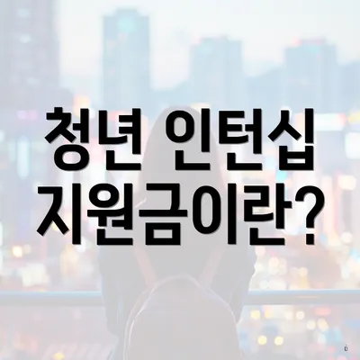 청년 인턴십 지원금이란?
