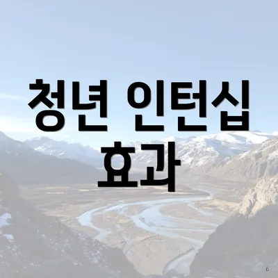청년 인턴십 효과